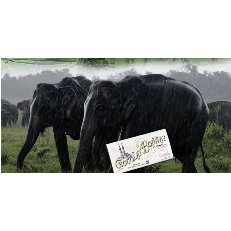 Dunkle Schokolade von Bonnat im Hintergrund zwei Elefanten