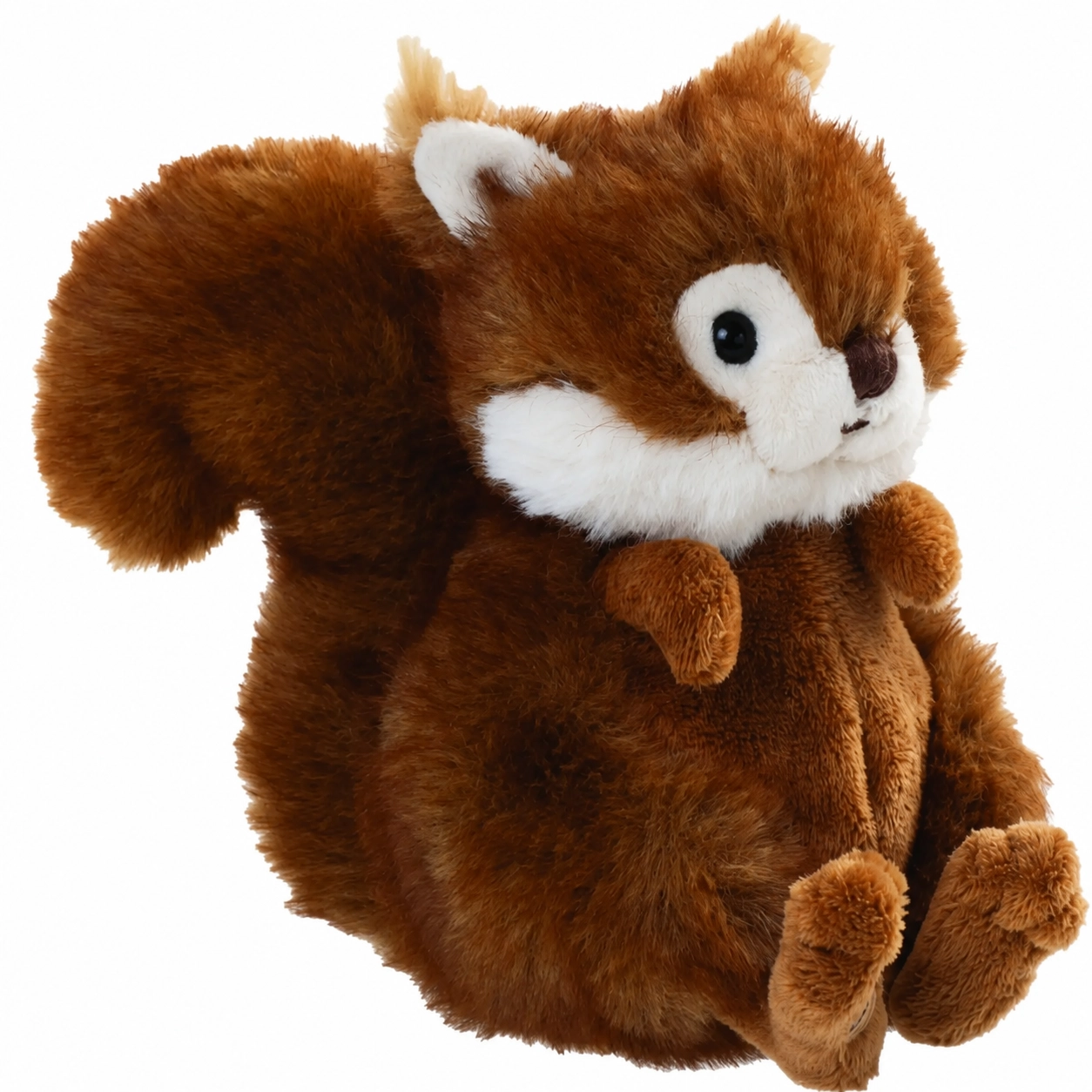Bukowski Eichhörnchen Wigglesch