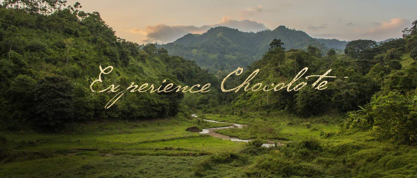 To'ak TOAK Teuerste Schokolade der Welt