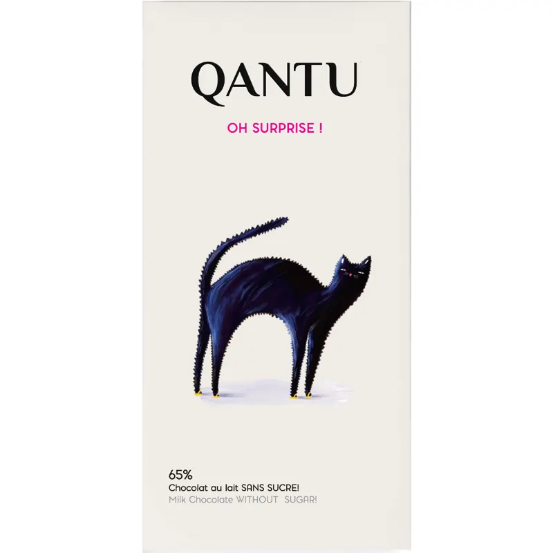Schokolade ohne Zucker oh Surprise von Qantu