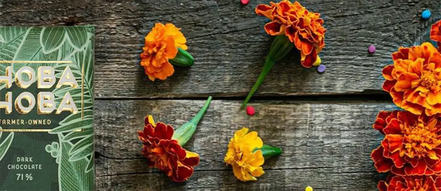 Choba Choba Choba-Choba Beste Schweizer Schokoladen